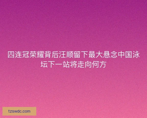 四连冠荣耀背后汪顺留下最大悬念中国泳坛下一站将走向何方